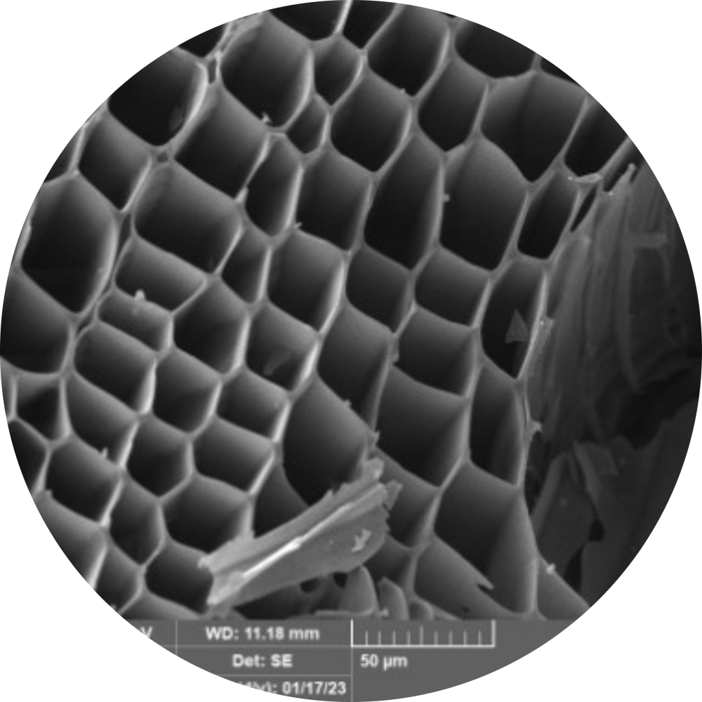  ◳ Obr. SEM biochar (png) → (originál)