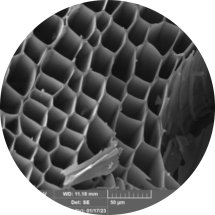  ◳ Obr. SEM biochar (png) → (ořez 215*215px)